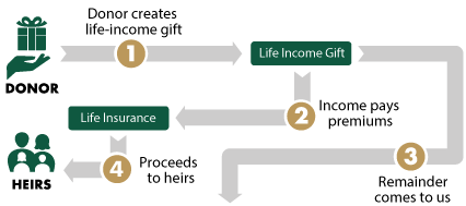 Lifetime Insurance Diagram